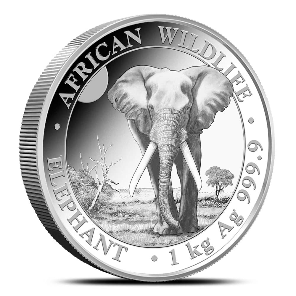 2025 1 Kilo Somalia Silver Elephant Coin (BU)