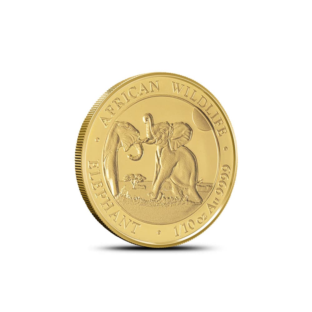 2024 1/10 oz Somalia Gold Elephant Coin (BU)