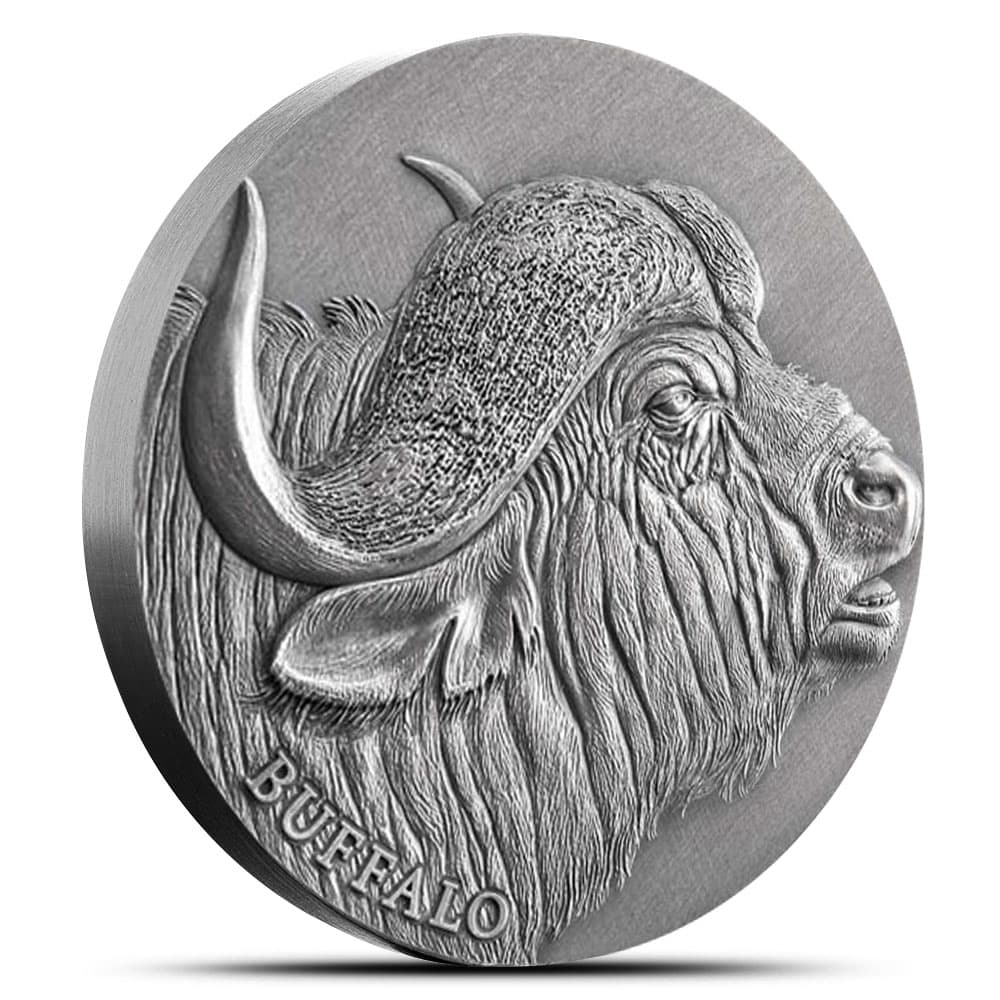 2022 2 oz Antique Cameroon Silver African Buffalo Coin