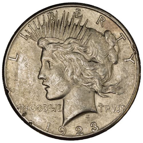 Peace Silver Dollar Coin (Cull)