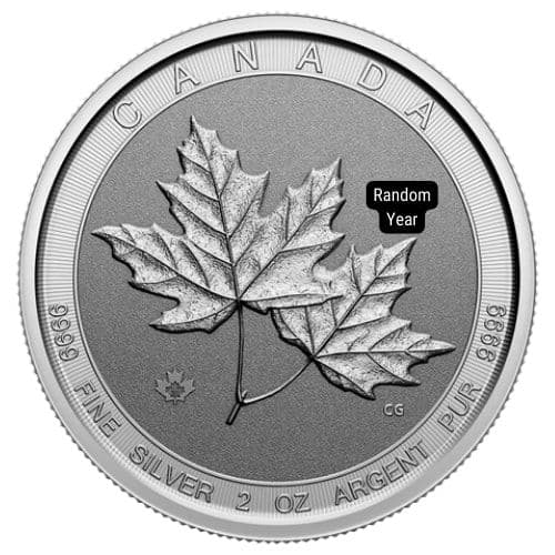 2 oz Silver Twin Maple Leaf Coin - Random Year